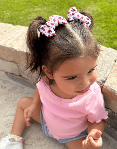 Ladybug Bow Clips Ladybug Bow Clips