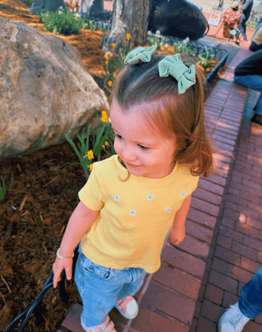 Sage Green Bow Clips Sage Green Bow Clips