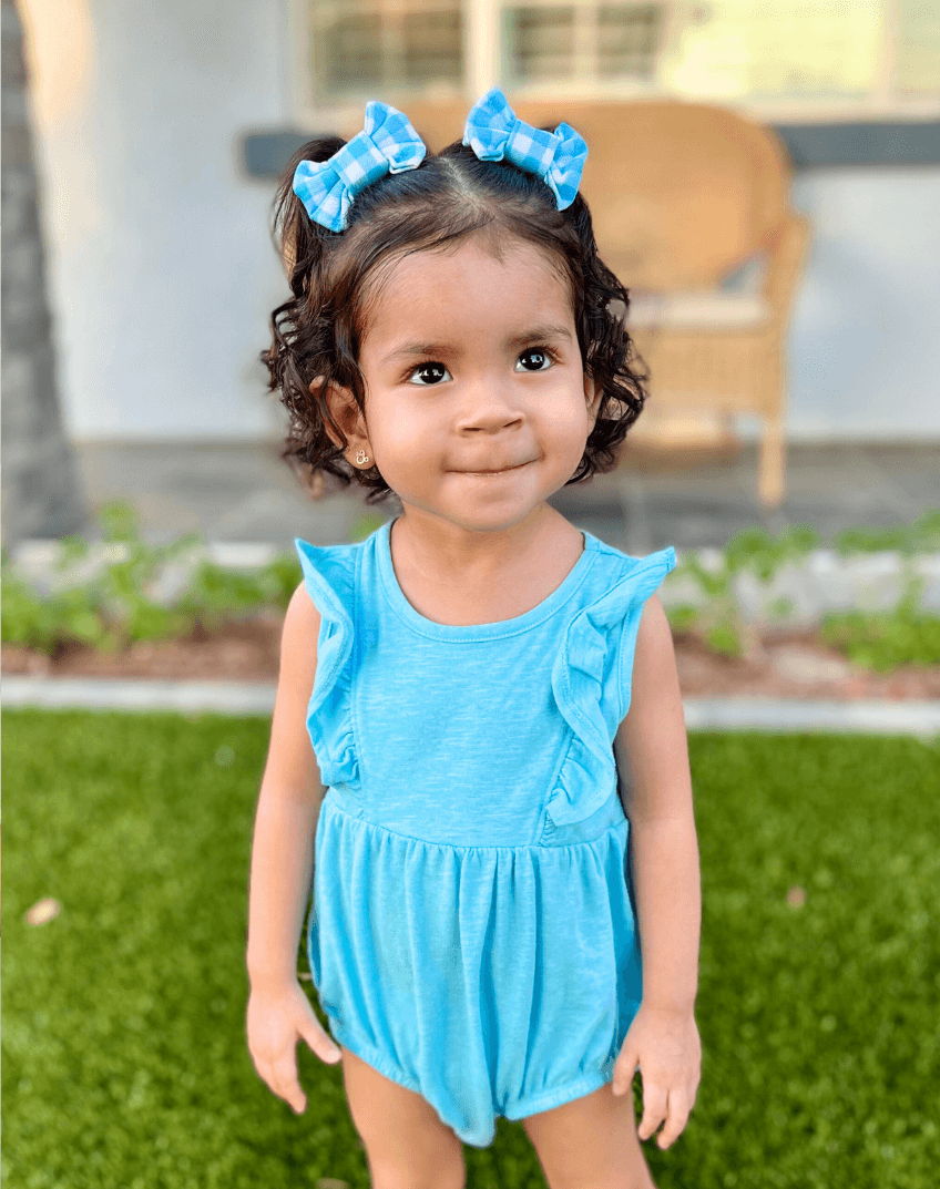 Blue Gingham Bow Clips