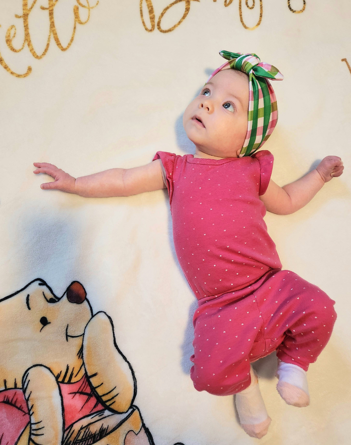 Garden Gingham Headband