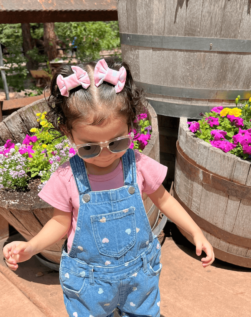 Pink Gingham Bow Clips