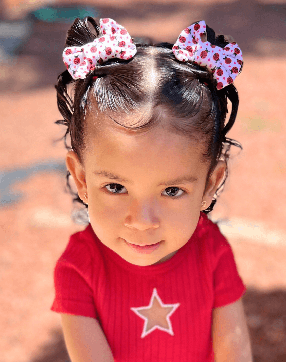 Ladybug Bow Clips