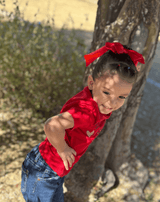 Red Satin Long Tail Hair Bow