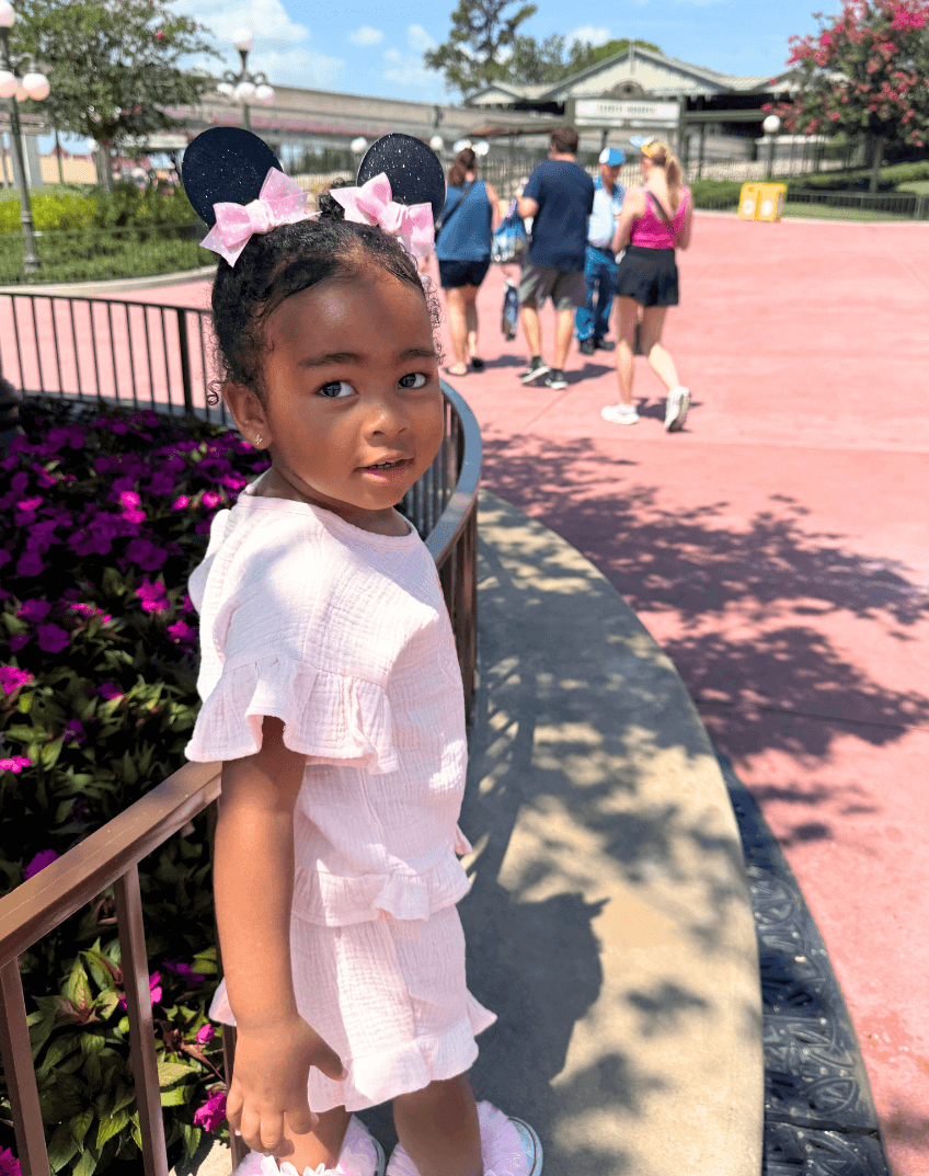 Pink Mickey Ear Clips