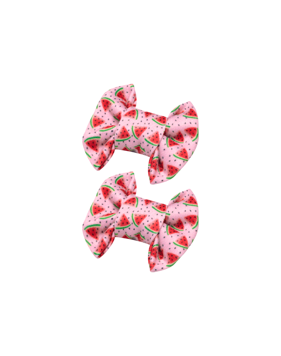 Watermelon Bow Clips